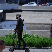 На своей волне. :: Наталья Вязигина