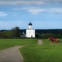 Над лугом царила тишина... :: Владимир Шошин Над лугом царила тишина... :: Владимир Шошин