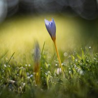 Триумф осенней жизни. :: Анатолий Щербак