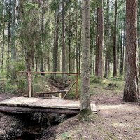 Окрестности дачи Габерцетеля :: Мария Васильева