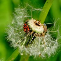 из вчерашней съемки 3 :: Александр Прокудин из вчерашней съемки 3 :: Александр Прокудин