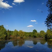 И снова тепло :: Андрей Лукьянов И снова тепло :: Андрей Лукьянов