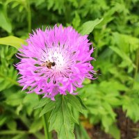 ,,, :: Сергей Тимоновский