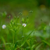 ___ :: Yuriy V ___ :: Yuriy V