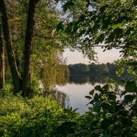 Майское... :: Николай Гирш Майское... :: Николай Гирш