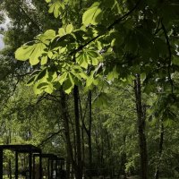 У дома. :: Любовь 