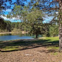 Весны прекрасные мгновения :: Serega  