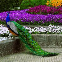 Сады у замка Арсен(серия) :: Владимир Манкер Сады у замка Арсен(серия) :: Владимир Манкер