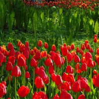 союзники :: sv.kaschuk союзники :: sv.kaschuk