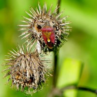 из позавчерашней съемки 3 :: Александр Прокудин из позавчерашней съемки 3 :: Александр Прокудин