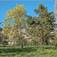 Погожим днём... :: Aquarius - Сергей