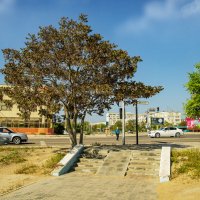 Лесенка :: Анатолий Чикчирный Лесенка :: Анатолий Чикчирный