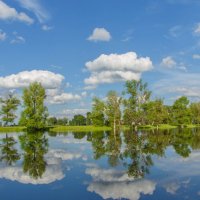 3825 :: Alex . 3825 :: Alex .