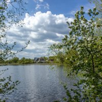 Цветущий май. :: Михаил "Skipper"