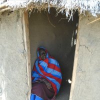 Открыты или закрыты? :: Игорь Матвеев 