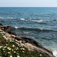 Берег :: Юрий. Шмаков