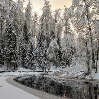 Линдуловская роща :: skijumper Иванов