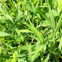 ,,, :: Сергей Тимоновский