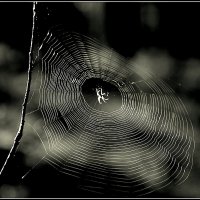 Пластинки крутится диск... :: Aleksandr Gal