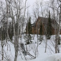 Весна в ботаническом саду :: Ольга Весна в ботаническом саду :: Ольга