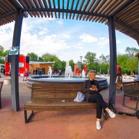 В Летнем Парке :: юрий поляков