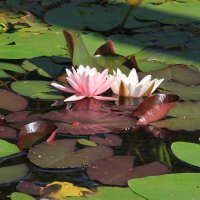 У реки :: Cергей Кочнев У реки :: Cергей Кочнев