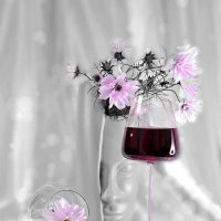 Космея. Фото-арт :: Галина Левина