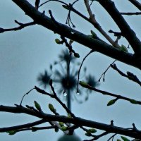 Монастырь Агарцин. :: Михаил Свиденцов