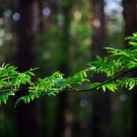 * :: Александр Иванов