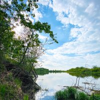 *** :: Игорь Чичиль