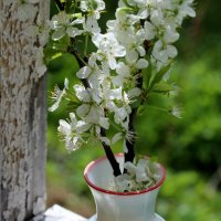 Натюрморт! :: жанна нечаева