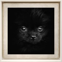 Черный квадрат :: Игорь Викторов