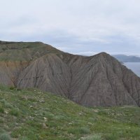 Природа Крыма :: Amazing Cosmea