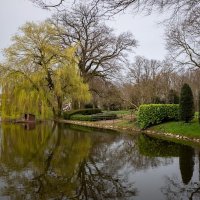Пейзаж с ивой... :: Николай Гирш