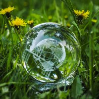 Лето? :: Магомед .