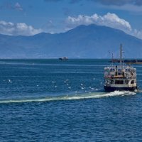 Эскорт... :: Dmitriy Dikikh