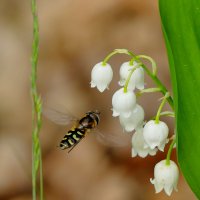 из сегодняшней съемки 4 :: Александр Прокудин