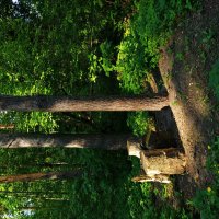 Самый теплый день в этом году :: Андрей Лукьянов