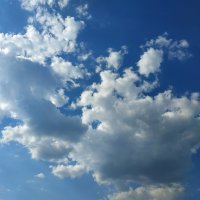 Плывут! :: Андрей Лукьянов Плывут! :: Андрей Лукьянов