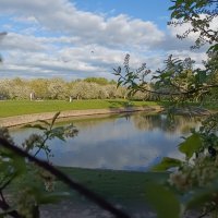 был месяц май.... :: Галина R...