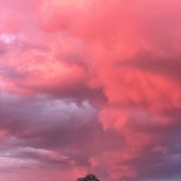 В горах Байдаулет :: Георгиевич 