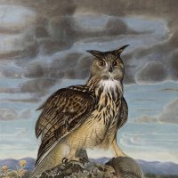 История-13 :: irina Schwarzer История-13 :: irina Schwarzer