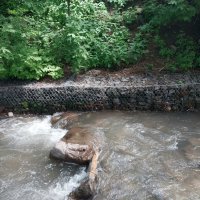 Almaty. :: Murat Bukaev 