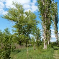 Природа Крыма :: Валентин Семчишин Природа Крыма :: Валентин Семчишин