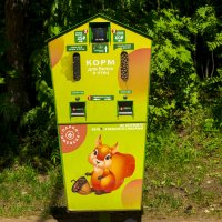 Мой город - Парк Кирова :: Владимир Максимов