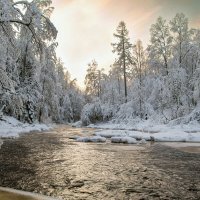 Линдуловская роща :: skijumper Иванов