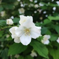 ,,, :: Сергей Тимоновский