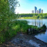 Пруд :: Oleg4618 Шутченко Пруд :: Oleg4618 Шутченко