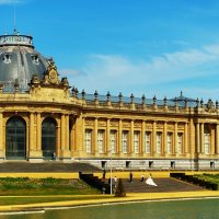 Свадьба около Королевского музея Центральной Африки :: Aida10 