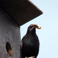 Всё лучшее -детям ! :: nadyasilyuk Вознюк